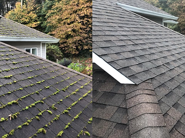 erie-roof-cleaning